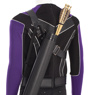 Picture of TV Show Hawkeye Clint Barton Hawkeye Cosplay Costume C00886