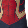 Picture of Spider-Man Peter Parker Cosplay Costume C00891