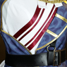 Picture of Fate/Grand Order Fujimaru Ritsuka Cosplay Costume C00963