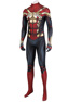 Picture of No Way Home Peter Parker Cosplay Costume C01003