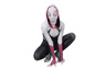 Imagen de Across the Spider-Verse Gwen Stacy disfraz de Cosplay C01006