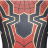 Picture of Spider-Man: No Way Home Spider-Man Cosplay Costume C01001