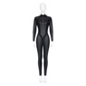 Picture of Selina Kyle Catwoman Cosplay Costume C01029