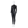 Picture of Selina Kyle Catwoman Cosplay Costume C01029