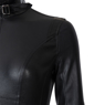 Picture of Selina Kyle Catwoman Cosplay Costume C01029
