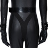 Picture of Selina Kyle Catwoman Cosplay Costume C01029