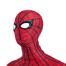 Picture of Spider-Man: No Way Home Spider-Man Cosplay Costume C01034