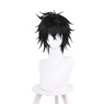 Picture of Naofumi Iwatani Cosplay Wig C01122