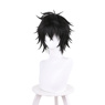 Picture of Naofumi Iwatani Cosplay Wig C01122