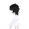 Picture of Naofumi Iwatani Cosplay Wig C01122