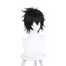 Picture of Naofumi Iwatani Cosplay Wig C01122