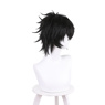 Picture of Naofumi Iwatani Cosplay Wig C01122