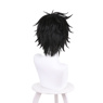 Picture of Naofumi Iwatani Cosplay Wig C01122