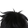 Picture of Naofumi Iwatani Cosplay Wig C01122