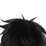 Picture of Naofumi Iwatani Cosplay Wig C01122