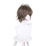 Picture of Nijisanji Virtual Livers Alban Knox Cosplay Wig C01120