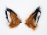 Picture of Zootopia Zootropolis Fox Nick Cosplay Ears and Tail mp004329