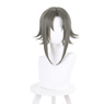 Picture of Nijisanji VTuber Mysta Rias Cosplay Wigs C02987