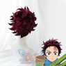 Photo de Kimetsu no Yaiba Tanjir0u Cosplay Perruques mp005666