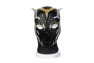 Photo de Black Panther: Wakanda Forever 2022 Femme Black Panther Shuri Cosplay Costume C07519