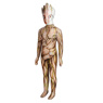 Image du nouveau costume de cosplay Groot pour enfants C07522