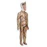 Image du nouveau costume de cosplay Groot pour enfants C07522