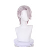 Picture of Path to Nowhere ZOYA Cosplay Wigs C07547