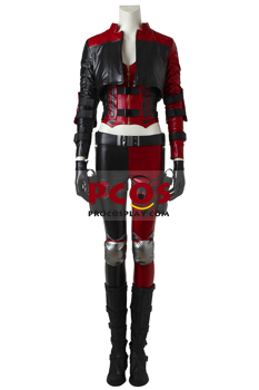 Picture of Harley Quinn Cosplay Costume C07171