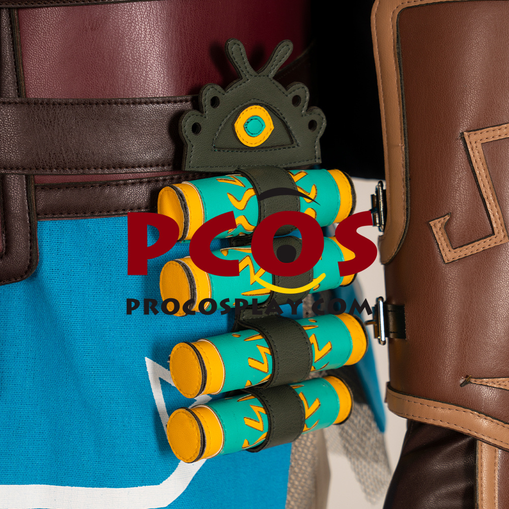 The Legend of Zelda Tears of the Kingdom Link Cosplay Costume C07302