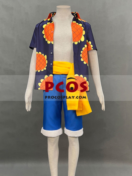 Picture of One Piece Dressrosa Monkey D. Luffy Cosplay Costumes C07418