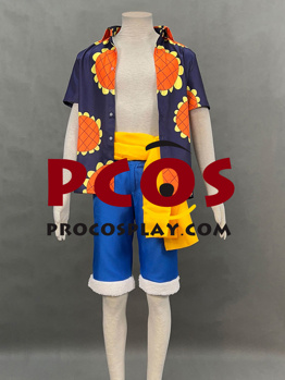 Picture of One Piece Dressrosa Monkey D. Luffy Cosplay Costumes C07418