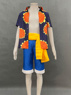 Picture of One Piece Dressrosa Monkey D. Luffy Cosplay Costumes C07418