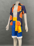 Picture of One Piece Dressrosa Monkey D. Luffy Cosplay Costumes C07418