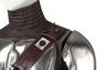 Picture of The Mandalorian Season3 Mandalorian Cosplay Costume C07423