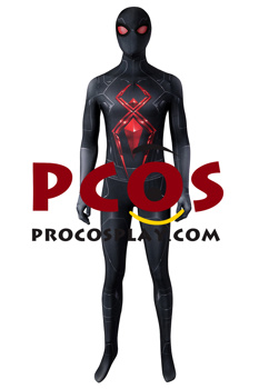 Picture of Game Peter Parker Cosplay Costume C07467