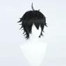 Изображение Honkai: Star Rail Dan Heng Cosplay Wigs C07764