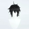 Picture of Honkai: Star Rail Dan Heng Cosplay Wigs C07764