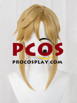 Picture of The Legend of Zelda: Tears of the Kingdom Link Cosplay Wigs C07731