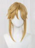 Picture of The Legend of Zelda: Tears of the Kingdom Link Cosplay Wigs C07731