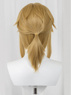 Picture of The Legend of Zelda: Tears of the Kingdom Link Cosplay Wigs C07731