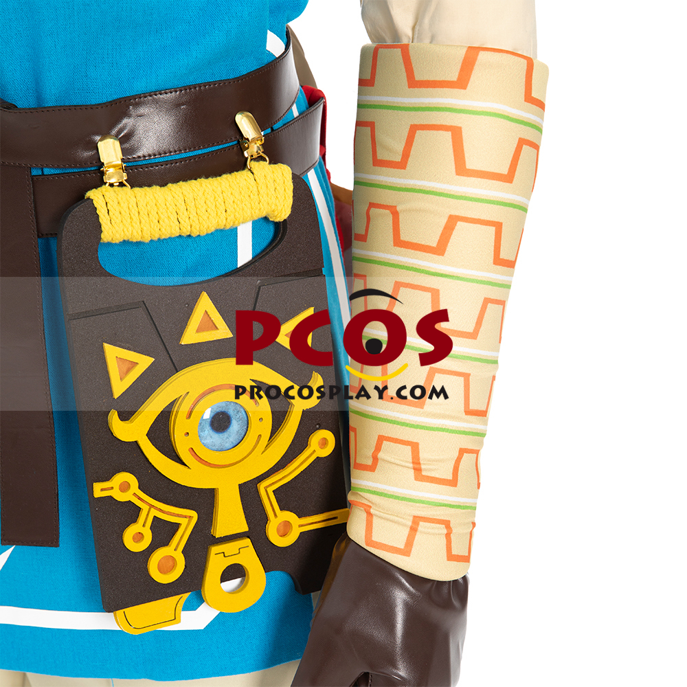The Legend of Zelda: Breath of the Wild Link Champion's Tunic Cosplay ...