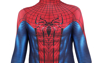 Picture of Game Peter Parker Cosplay Costume For Kids C08029