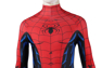Picture of Peter Parker Cosplay Costume C08131