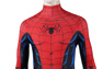 Photo dePeter Parker Cosplay Costume C08131