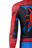 Immagine del costume cosplay di Peter Parker C08131