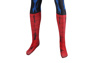 Photo dePeter Parker Cosplay Costume C08131