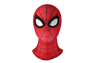 Picture of Peter Parker Cosplay Costume C08131