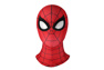 Photo dePeter Parker Cosplay Costume C08131