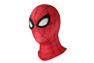 Picture of Peter Parker Cosplay Costume C08131