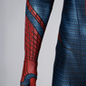 Picture of Peter Parker Cosplay Costume C08182